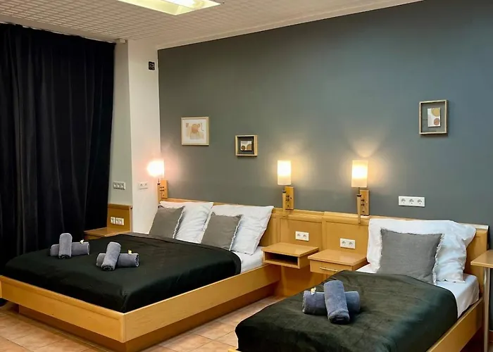 Spacious Apartment In Vienna Center