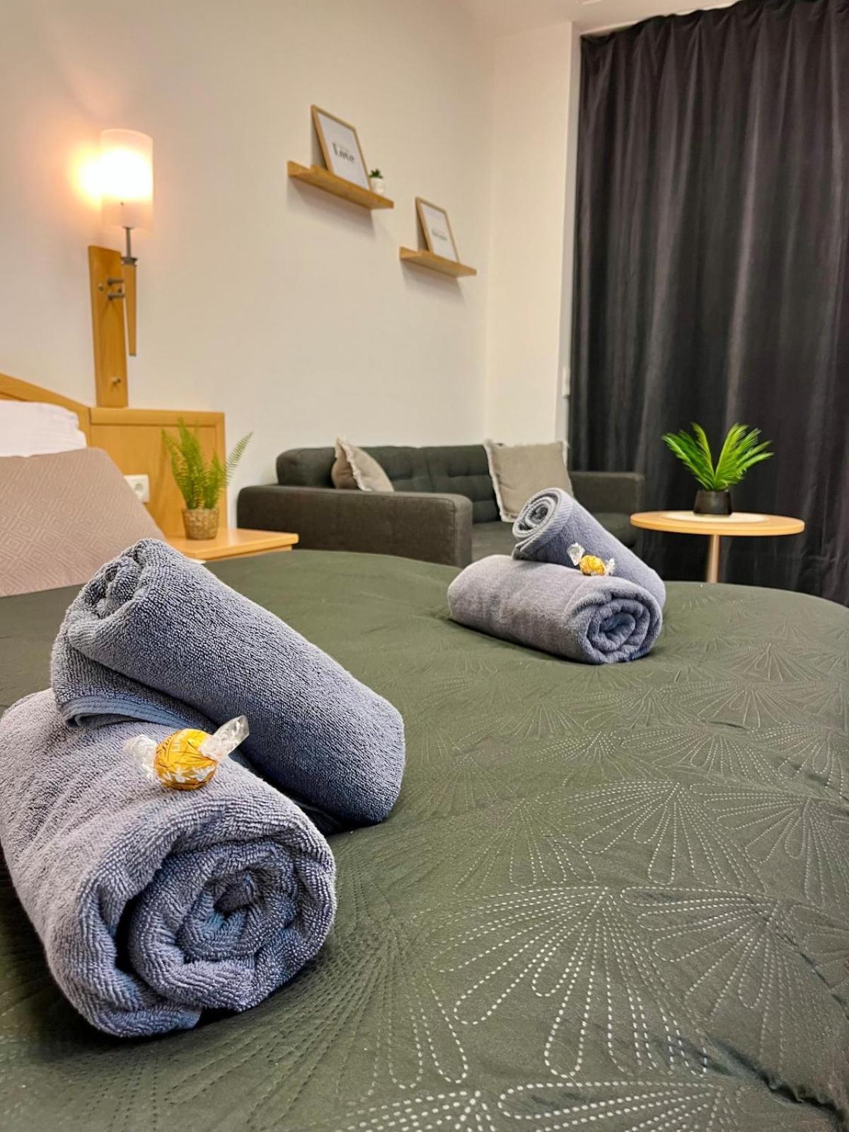 Spacious In Center Apartment