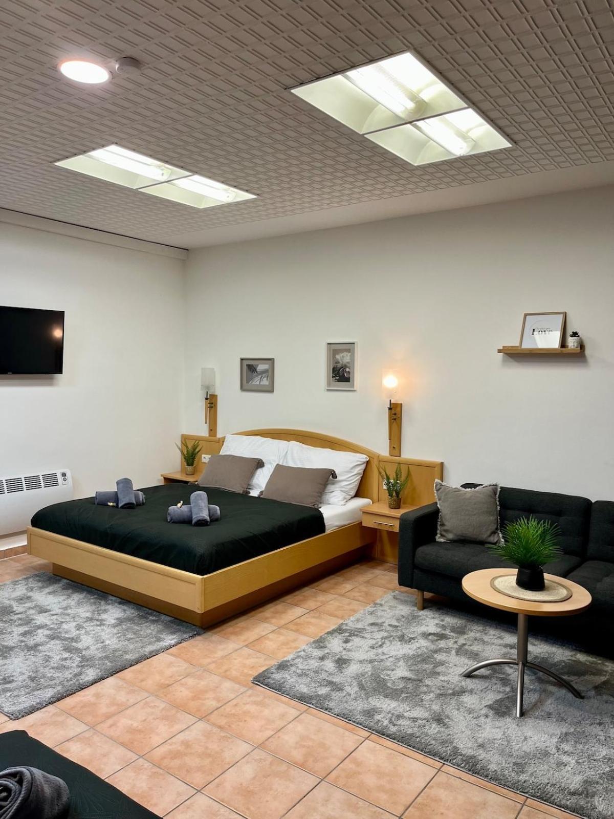 Spacious In Center Wien